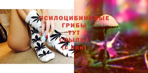 скорость Алзамай
