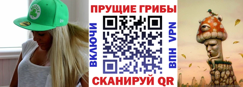 Галлюциногенные грибы прущие грибы  Кореновск 